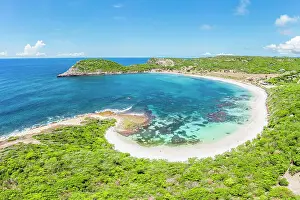 West Indies Prints: Lush tropical trees framing an idyllic beach by coral reef