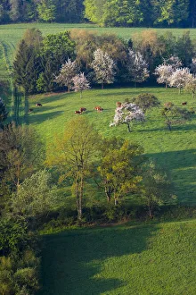 Sure River Valley Prints: Luxembourg, Sure River Valley, Ettelbruck, countryside