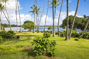 Kauai Prints: Lydgate State Park, Kauai island, Hawaii, USA