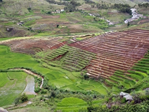 Madagascar