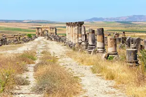 Marocco Prints: The main road (Decumanus Maximus) of the ancient Roman ruins of Volubilis