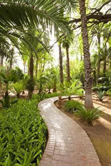 Images Dated 9th June 2011: Majorelle Gardens, Marrakesh, Morocco, North Africa