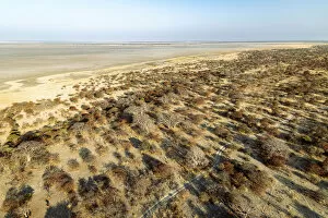Images Dated 27th August 2021: Makgadikgadi Salt Pans, Botswana