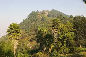 Malawi Prints: Malawi, Zomba. View from the exotic gardens of Ku Chawe Inn towards Zomba Mountain