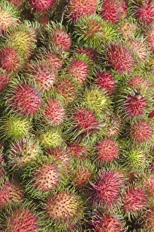 Malaysia, Lycee fruits - detail of Rambutan fruit