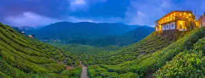 Malaysia, Pahang, Cameron Highlands, Tanah Rata, Cameron Valley Tea Estate, Cafe