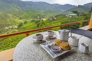 Afternoon Tea Gallery: Malaysia, Pahang, Cameron Highlands, Tanah Rata, Cameron Valley Tea Estate, Cameron