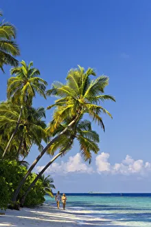 Images Dated 8th August 2011: Maldives, Faafu Atoll, Filitheyo Island