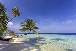 Maldives, Faafu Atoll, Filitheyo Island
