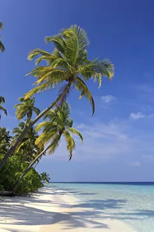 Maldives, Faafu Atoll, Filitheyo Island