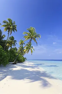 Images Dated 8th August 2011: Maldives, Faafu Atoll, Filitheyo Island
