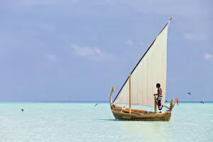Images Dated 6th June 2013: Maldives, Rasdhoo Atoll, Kuramathi Island. A Maldivian man sails a traditional Dhoni. MR