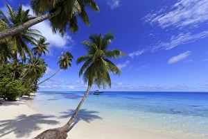 Beach Prints: Maldives, South Ari Atoll, Mandhoo Island