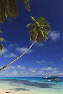 Images Dated 18th November 2016: Maldives, South Ari Atoll, Mandhoo Island