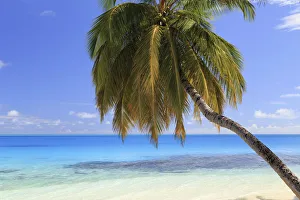 Images Dated 18th November 2016: Maldives, South Ari Atoll, Mandhoo Island