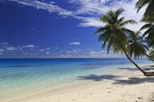 Images Dated 18th November 2016: Maldives, South Ari Atoll, Mandhoo Island