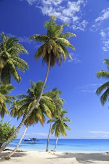 Maldives, South Ari Atoll, Mandhoo Island