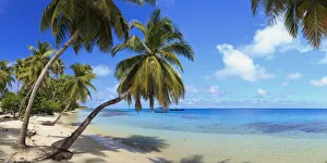 Beach Prints: Maldives, South Ari Atoll, Mandhoo Island