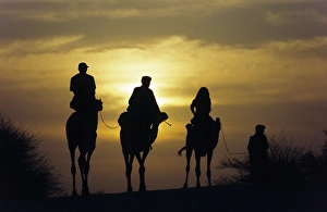 Adventurous Gallery: MALI, Timbuktu Camel trekkers in the Saharan sands near Timbuktu