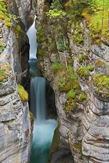 Images Dated 3rd May 2023: Maligne River flows down the Maligne Canyon, Jasper National Park, Alberta, Canada