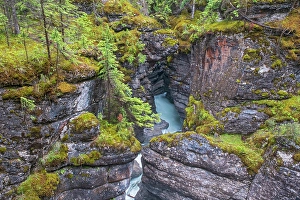 Artist Prints: The Maligne River as it runs through Maligne Canyon, Jasper National Park, Alberta, Canada