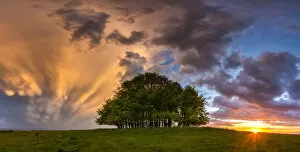 Storm Clouds Collection: Mammatus Storm Clouds over Beech Trees at Sunset, Win Green Hill, Wiltshire, England