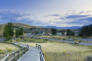 Geo Thermal Gallery: Mammoth Hot Springs Village and Resort, Yellowstone National Park, Wyoming, USA