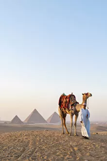 Images Dated 14th May 2020: Man and his camel at the Pyramids of Giza, Giza, Cairo, Egypt