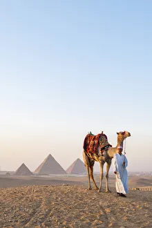 Man and his camel at the Pyramids of Giza, Giza, Cairo, Egypt Man and his camel at the Pyramids of Giza, Giza, Cairo, Egypt
