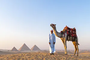 Man and his camel at the Pyramids of Giza, Giza, Cairo, Egypt