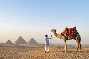Images Dated 14th May 2020: Man and his camel at the Pyramids of Giza, Giza, Cairo, Egypt