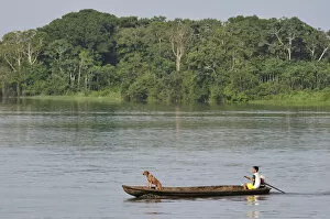 Amazon Gallery: Man and his dog in a dugout canoe crossing the Amazon River, near Puerto Narino, Colombia