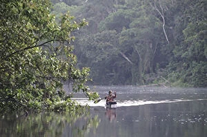 Paddle Gallery: Man in a dugout canoe on the Amazon River, near Puerto Narino, Colombia