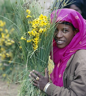 African Woman Gallery: A man winnows Teff, a small-grained cereal, with a wooden hayfork