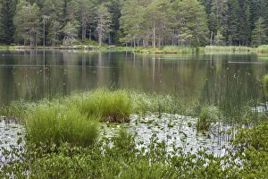 Mountain Lake Prints: Maoserer See, Maosern near Telfs, Tyrol, Austria