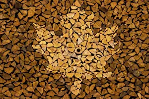 Decorating Prints: Maple leaf design in a woodpile at Wyckoff Family Maple sugar center