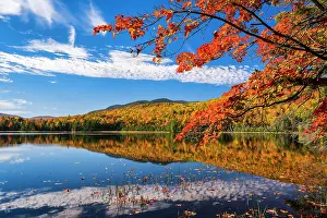 Adirondacks Prints: Maple tree over lake reflection in autumn, Adirondack Mountains, New York, USA