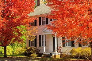 Images Dated 21st October 2022: Maple tree and white house, Woodstock, Vermont, USA