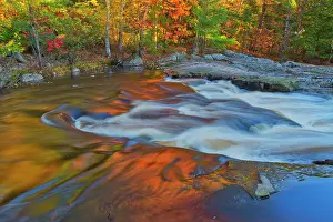 East Prints: Maple Trees reflected in the Rosseau River at Lower Rosseau Falls in autumn Rosseau Ontario