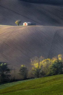 Marche Prints: Marche coutryside, Morrovalle village, Macerata district, Marches, Italy