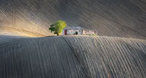Marche Prints: Marches agricultural fields, Montesangiusto village, Macerata district, Marches