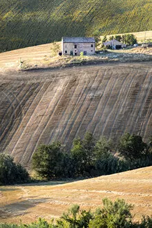 Agricolture Gallery: Marchigians rural landscape, Morrovalle village, Macerata district, The Marches