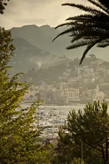 Marina of Rapallo, Riviera di Levante, Liguria, Italy