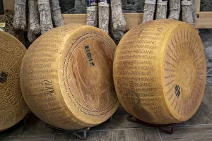 Aging Gallery: The marked wheels of Parmigiano-Reggiano (Parmesan) cheese. Parma, Emilia Romagna, Italy