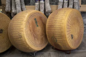 Images Dated 29th April 2020: The marked wheels of Parmigiano-Reggiano (Parmesan) cheese. Parma, Emilia Romagna, Italy