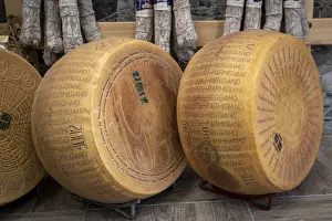 Emilia Prints: The marked wheels of Parmigiano-Reggiano (Parmesan) cheese. Parma, Emilia Romagna, Italy
