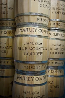 Images Dated 25th September 2012: Marley Coffee ready for export, Marley Coffee, Kingston, St. Andrew parish, Jamaica