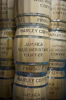 Images Dated 25th September 2012: Marley Coffee ready for export, Marley Coffee, Kingston, St. Andrew parish, Jamaica