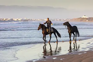 Marrakesh-Safi (Marrakesh-Tensift-El Haouz) region, Essaouira, a berber leads a Barb horse along the beach near Essaouira