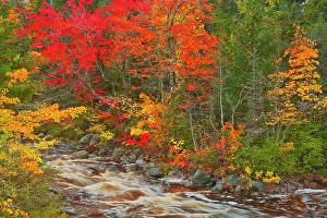 Images Dated 28th March 2023: Mary-Anne Falls in the Acadian forest in autumn foliage Cape Breton Highlands National Park